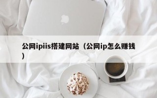 滨州公网ipiis搭建网站（公网ip怎么赚钱）